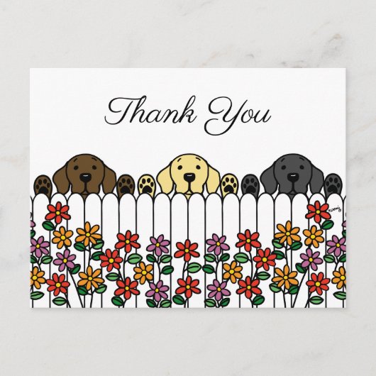 Labrador Trio, der Ihnen auf der Postkarte zusieht (Vorderseite)