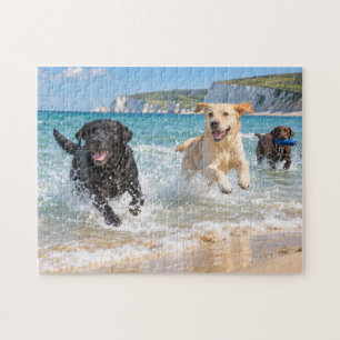 Labrador Trio Küstenstrand Planschspiel Design Puzzle
