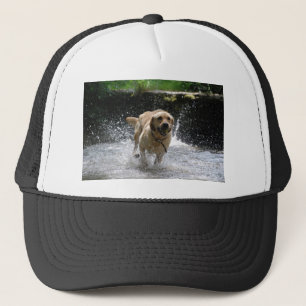 Labrador Truckerkappe