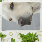 Labrador-Tuch Geschirrtuch (Gefaltet)