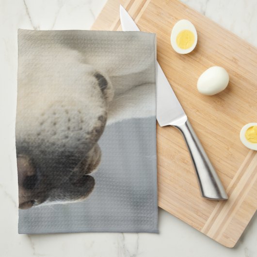 Labrador-Tuch Geschirrtuch (Viertel Falte)