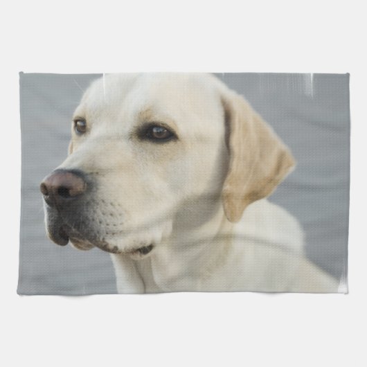 Labrador-Tuch Geschirrtuch (Horizontal)