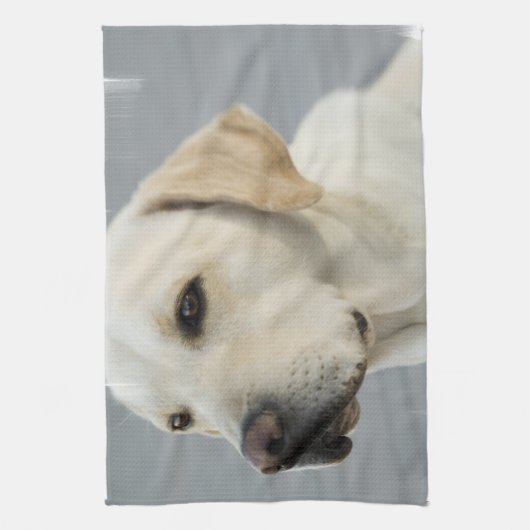 Labrador-Tuch Geschirrtuch (Vertikal)