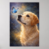 Labrador und Schmetterling Poster (Vorne)