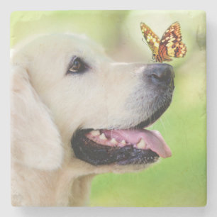Labrador und Schmetterling Wurfkissen Steinuntersetzer