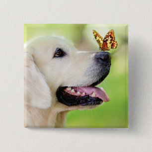 Labrador und Schmetterlingswirbel Kissen Button