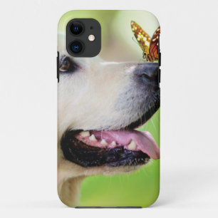 Labrador und Schmetterlingswirbel Kissen Case-Mate iPhone Hülle