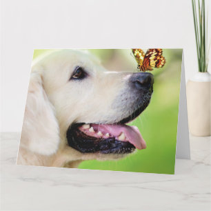 Labrador und Schmetterlingswirbel Kissen Karte