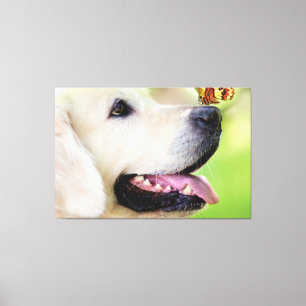 Labrador und Schmetterlingswirbel Kissen Leinwanddruck