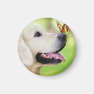 Labrador und Schmetterlingswirbel Kissen Magnet