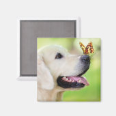 Labrador und Schmetterlingswirbel Kissen Magnet (Vorderseite/Rückseite)