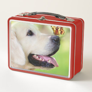 Labrador und Schmetterlingswirbel Kissen Metall Brotdose