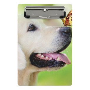 Labrador und Schmetterlingswirbel Kissen Mini Klemmbrett