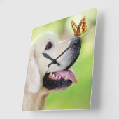 Labrador und Schmetterlingswirbel Kissen Quadratische Wanduhr (Winkel)