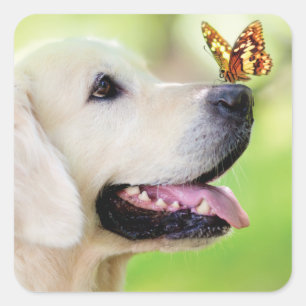 Labrador und Schmetterlingswirbel Kissen Quadratischer Aufkleber