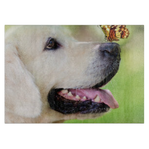 Labrador und Schmetterlingswirbel Kissen Schneidebrett