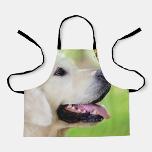 Labrador und Schmetterlingswirbel Kissen Schürze