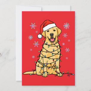 Labrador Weihnachten