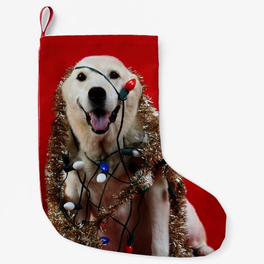 Labrador-Weihnachten Kleiner Weihnachtsstrumpf (Vorderseite)