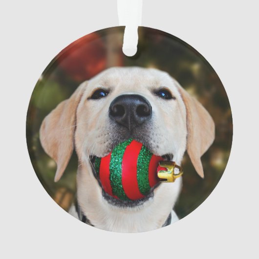 Labrador-Weihnachtsball Ornament (Rückseite)