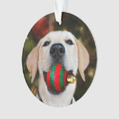 Labrador-Weihnachtsball Ornament (Vorderseite)