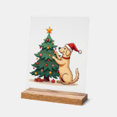 Labrador-Weihnachtsbaum-Helfer Acrylschild (Winkel)