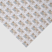 Labrador-Weihnachtsseidenpapier Seidenpapier (Ausschnitt)