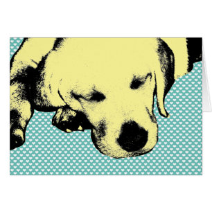 Labrador-Welpe