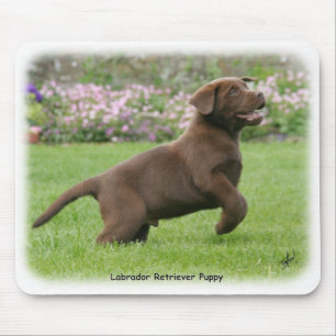 Labrador-Welpe 9Y220D-029 Mousepad