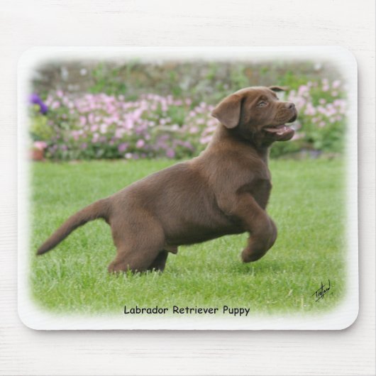 Labrador-Welpe 9Y220D-029 Mousepad (Vorne)