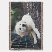 Labrador-Welpe, der im Garten spielt Decke (Vorderseite Vertikal)