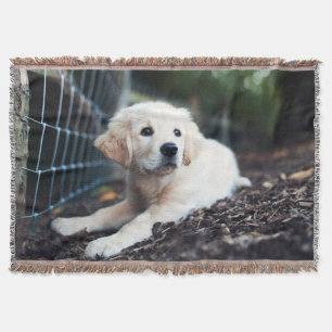 Labrador-Welpe, der im Garten spielt Decke