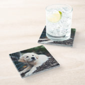 Labrador-Welpe, der im Garten spielt Glasuntersetzer (Schrägansicht)