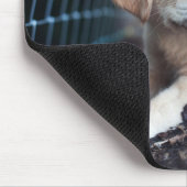 Labrador-Welpe, der im Garten spielt Mousepad (Ecke)