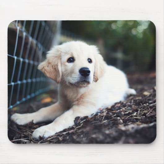 Labrador-Welpe, der im Garten spielt Mousepad (Vorne)