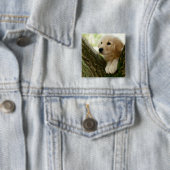 Labrador-Welpe, der in einer Waldeinstellung sitzt Button (Beispiel)