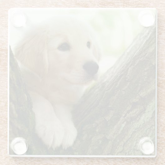 Labrador-Welpe, der in einer Waldeinstellung sitzt Glasuntersetzer (Rückseite)