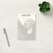 Labrador-Welpe, der in einer Waldeinstellung sitzt Post-it Klebezettel (Büro)