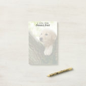 Labrador-Welpe, der in einer Waldeinstellung sitzt Post-it Klebezettel (Auf Schreibtisch)