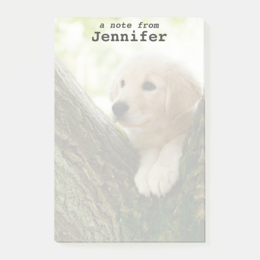 Labrador-Welpe, der in einer Waldeinstellung sitzt Post-it Klebezettel (Vorderseite)