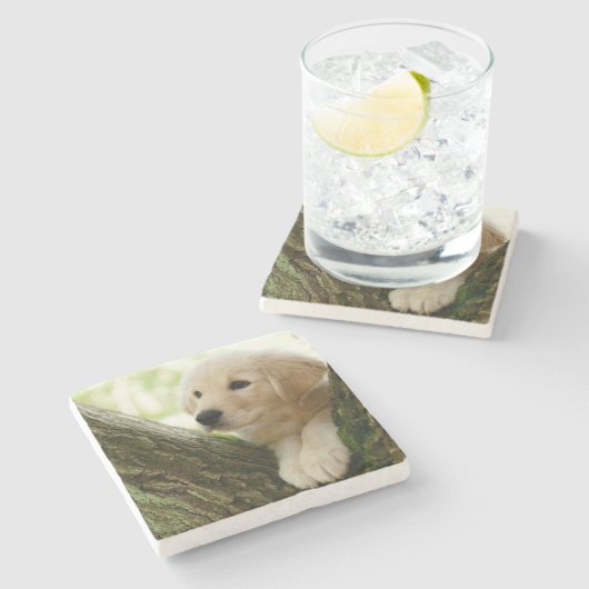 Labrador-Welpe, der in einer Waldeinstellung sitzt Steinuntersetzer (Seitenansicht)