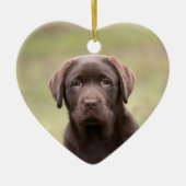 Labrador-Welpe Keramik Ornament (Vorne)