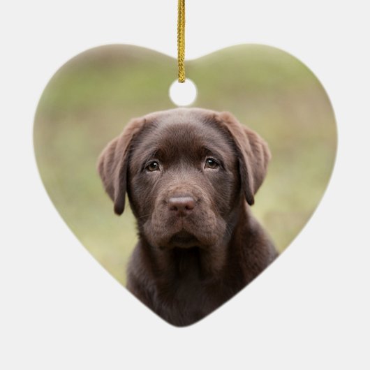 Labrador-Welpe Keramik Ornament (Hinten)