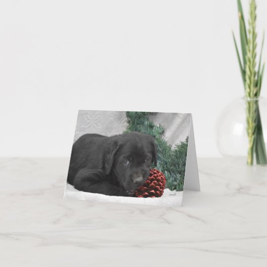 Labrador Welpe mit Weihnachtskranz (Vorderseite)