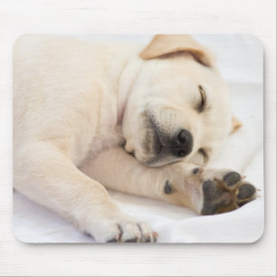 Labrador-Welpe Mousepad