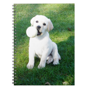 Labrador-Welpe Notizblock