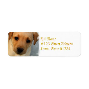 Labrador-Welpemailings-Aufkleber