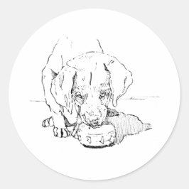 Labrador Welpen Hund Aufkleber,  Runder Aufkleber