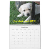 Labrador-Welpen! Kalender (Mär 2026)