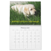 Labrador-Welpen! Kalender (Feb 2026)